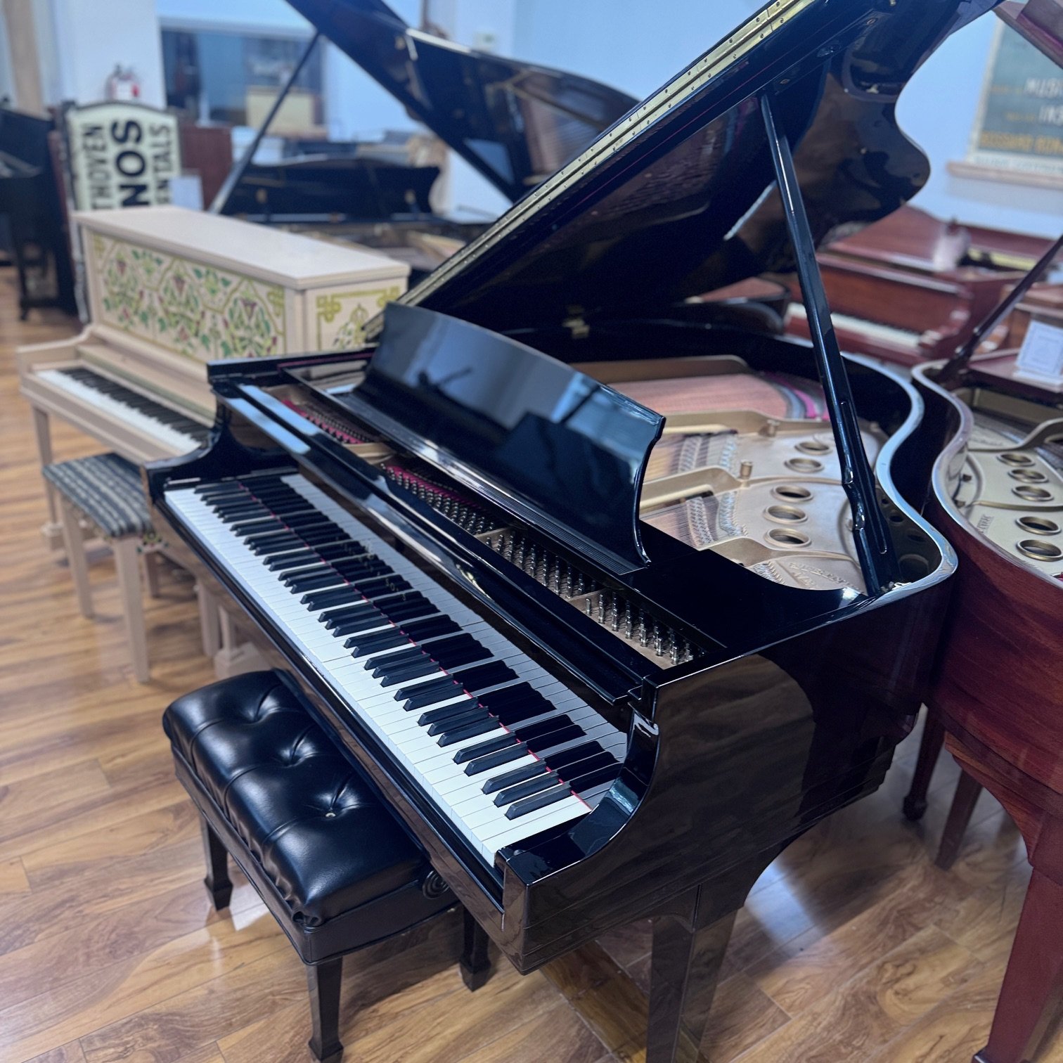 Grand Pianos | Beethoven Pianos